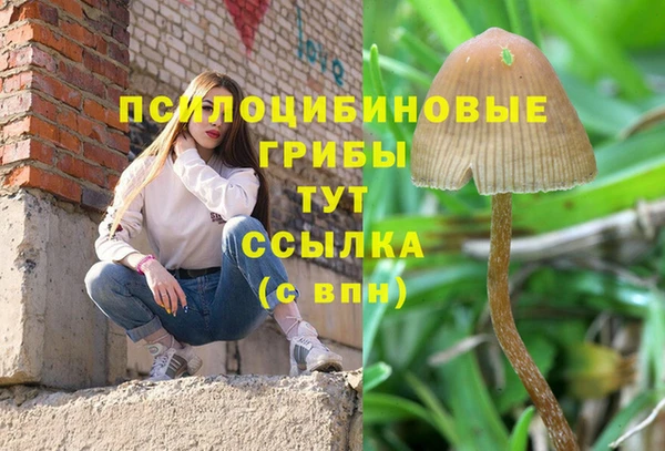 винт Алексин